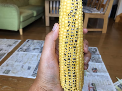 みんなの投稿の画像