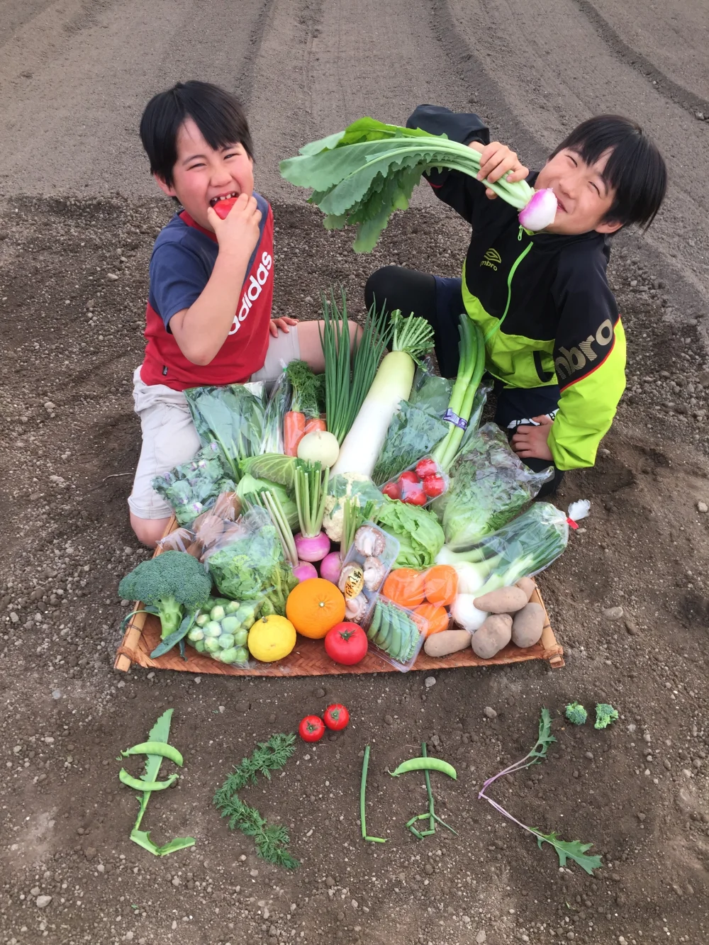 【母の日対応可能】Ⓐ静岡野菜セット 6品（火曜・金曜発送日)