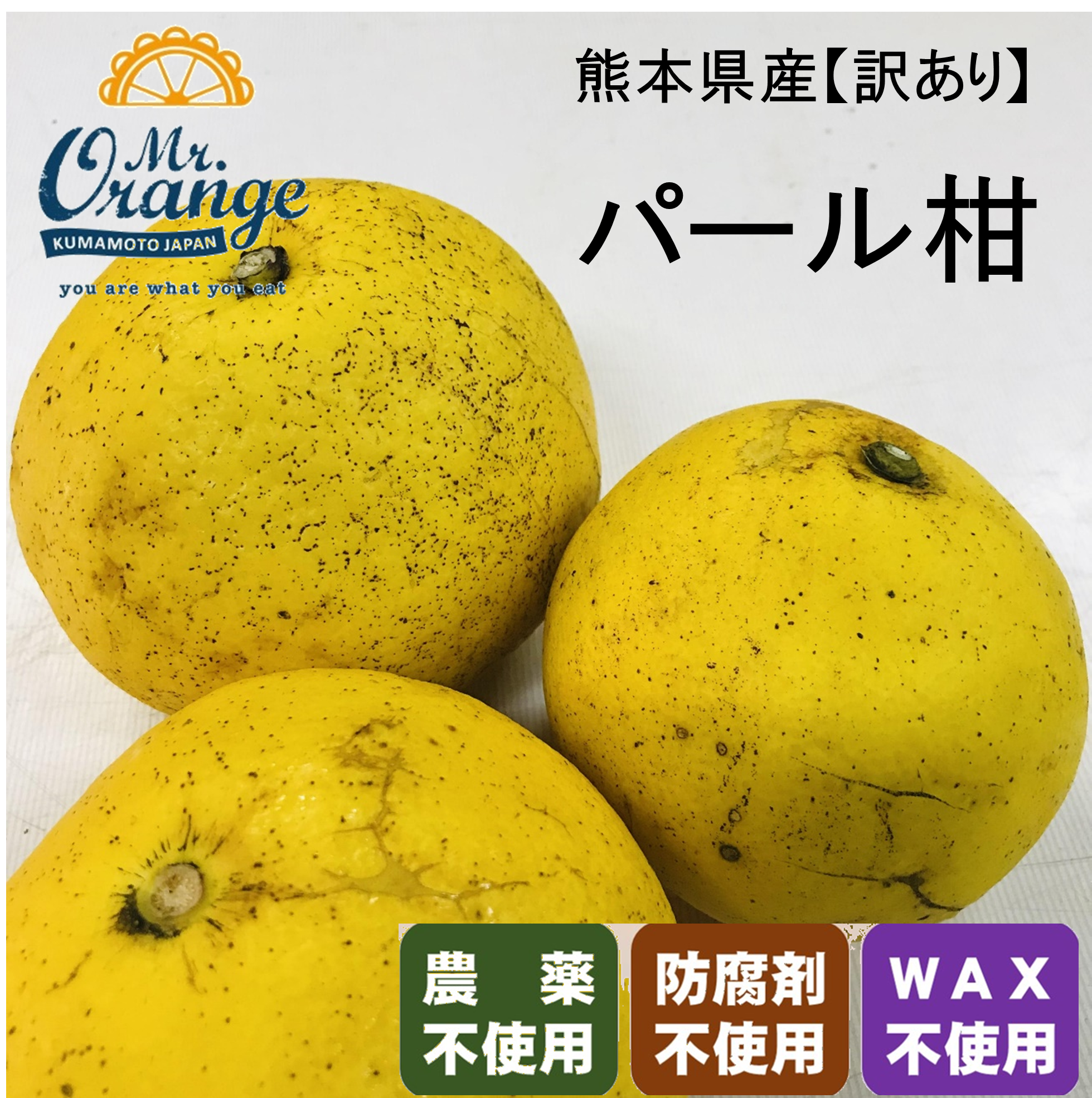農薬不使用・訳あり】パール柑｜文旦の商品詳細｜ポケット