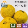 【農薬不使用・訳あり】パール柑