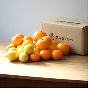 【柑橘食べ比べ】豪華6種セット！フルーツ詰め合わせ　約4kg