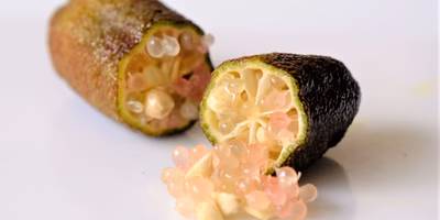 つぶつぶ溢れるフィンガーライムとは何か。買って観察して愛で尽くしてみた