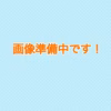 ✨ 温州みかん(宮川早生) ✨ Lサイズ前後 ＊＊贈答用＊＊ 送料無料
