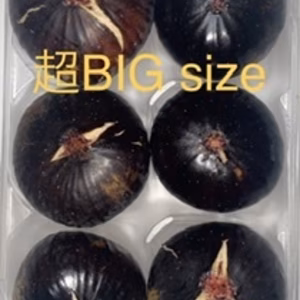 今日の朝市❗️「ビオレソリエス」6個　490g超