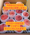 《小玉》桃 白鳳 3キロ箱10～16玉 長野県産
