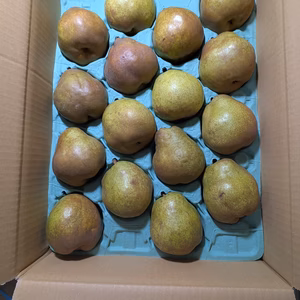 ラ・フランス家庭用