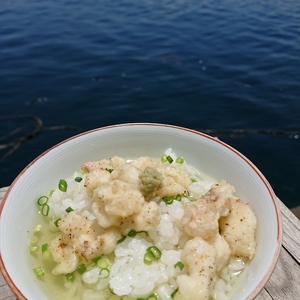 相島発【一本釣り鯛しゃぶセット限定品】無添加 量産不可