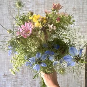 【モリモリお任せ20本以上】田舎に咲いている旬のお花！プレゼントも可能！