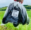 岐阜県中津川産　減農薬千両茄子　1袋（3本）×6袋
