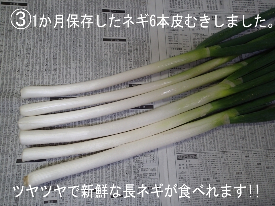 農家直送！白ネギ頭とナンパク付き青ねぎ - 野菜