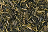 【農薬化学肥料不使用】ほうじ茶/100g×3袋/レターパックでお届け