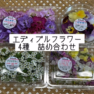 エディブルフラワー4種　詰め合わせ