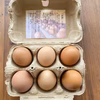 【ギフト用】福地鶏の栄養満点「初卵」
