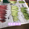 農薬不使用⭐︎旬の野菜セット　Sサイズ（6～7品）※税込