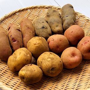 お試し！4種類のじゃがいもセット!!