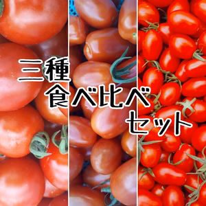 トマト☆三種食べ比べセット☆