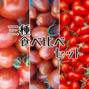 トマト☆三種食べ比べセット☆