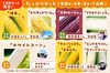 【7・8月に全4回】品種ごとの味わいを楽しむ！「欲張りとうもろこしの定期便」