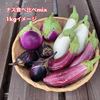 自然栽培 固定種・伝統種ナスmix食べ比べセット【栽培期間中農薬化学肥料不使用】