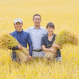 井上 馨 | 井上農場