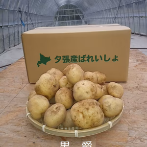 男爵（じゃがいも）