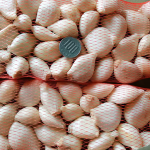 無農薬、無化学肥料、にんにく