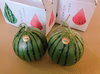 小玉スイカ　2個入り