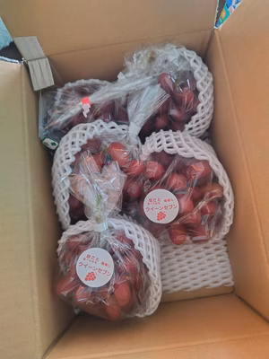 みんなの投稿の画像