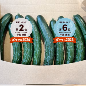 【送料無料❗️】『訳ありおのんきゅうり』新鮮お得！