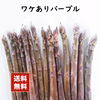 【送料無料】パープル好きさんに贈る！パープルだけの訳ありアスパラ