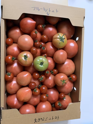 みんなの投稿の画像