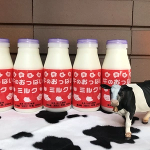 牛のおっぱいミルク5本セット