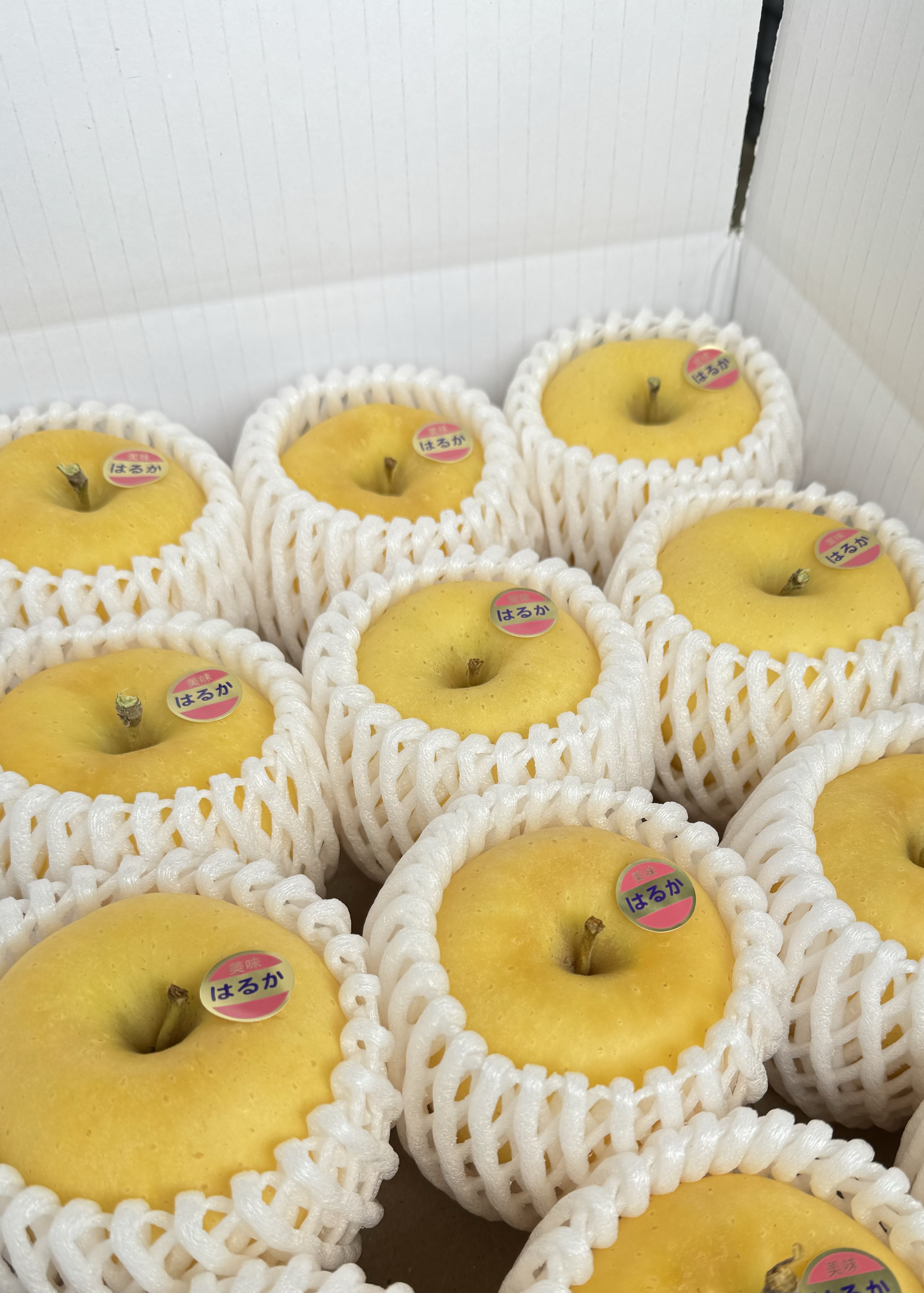 盛岡市産 完熟『はるか』 3kg(8〜12玉) 完熟はるか3kg(8〜12玉)