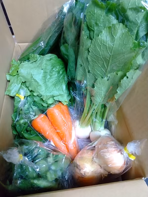 みんなの投稿の画像