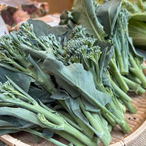 【ワンモアチャンス】マルシェで残ってしまった野菜たち。でも美味しく食べられます。
