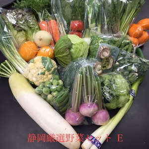 Ⓔ静岡厳選野菜セット 