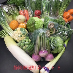 Ⓔ静岡厳選野菜セット 