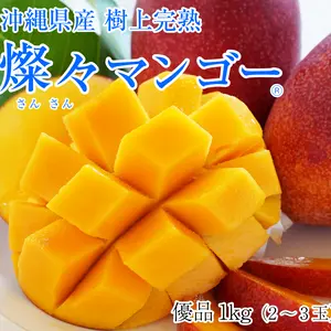 【樹上完熟】燦々マンゴー（沖縄県産）　優品1kg