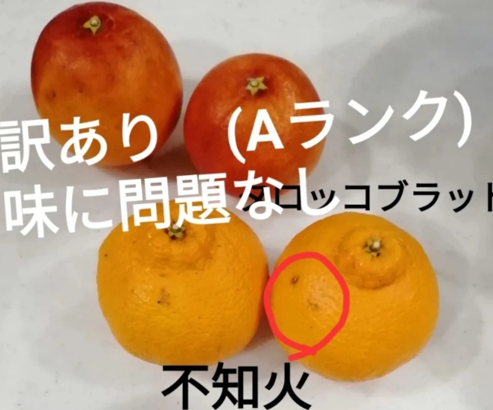 特典付❢A ランク家庭用❣️❢春爛漫よくばりセット