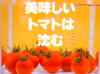 【おすすめ！】⭐高糖度フルーツトマト⭐『ポモロッサ15粒入』