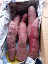 自然栽培さつまいも　紅はるか1.5キロ