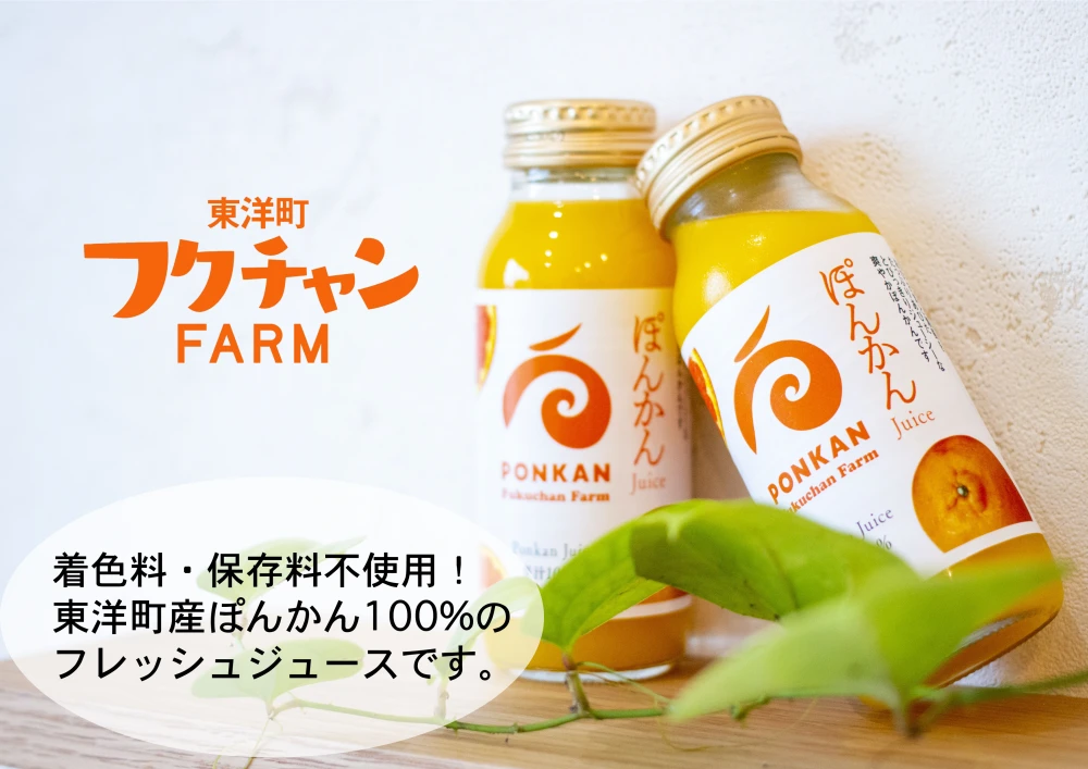 【ﾌｸﾁｬﾝFARM】高知県東洋町産ぽんかんジュース　保存料着色料不使用