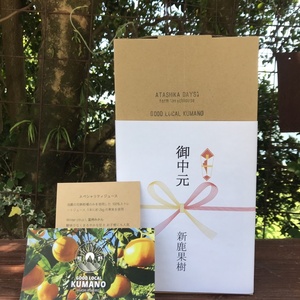御歳暮【温州蜜柑・カラマンダリン・甘夏】熨斗付