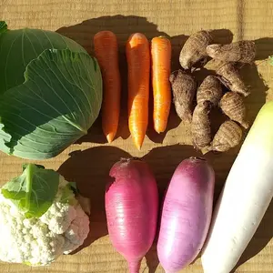 野菜詰め合わせ、野菜セット（7種類）