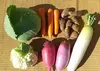野菜詰め合わせ、野菜セット（7種類）
