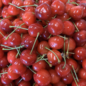 【クール便】朝どりさくらんぼM～２Lサイズ800gご自宅用