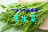 葉物野菜の美味しい季節。京水菜。