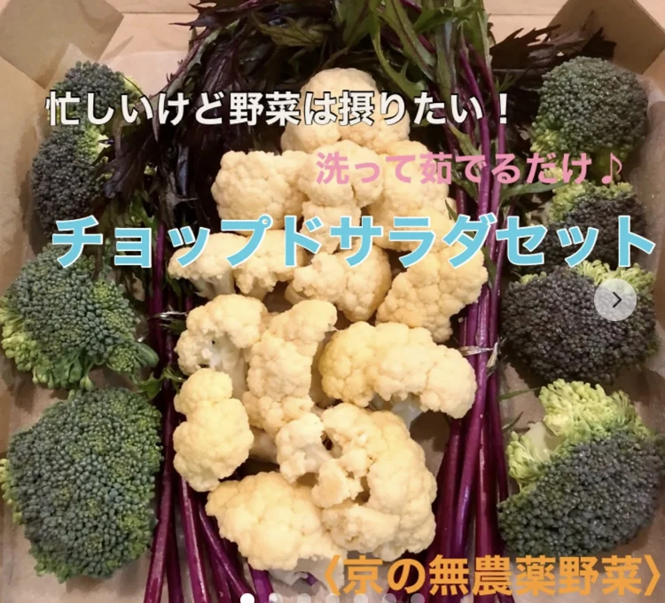 京の無農薬野菜《ブロッコリー、カリフラワー、赤水菜のチョップドサラダセット☆