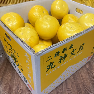 丸神文旦 お得用 約10キロ 中玉19玉