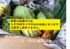 【自然の香り】愛知県田原市産　キャベツ＋野菜セット